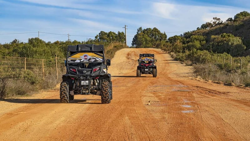 Albufeira: Full-Day Buggy Tour with Lunch - Entering the farm part of the day: Quinta do Freixo lunch