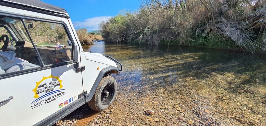 Albufeira: Full Day Safari Excursion in Algarve Mountains - Cork Oaks, Villages, and the Taste Stops That Make It Worth It