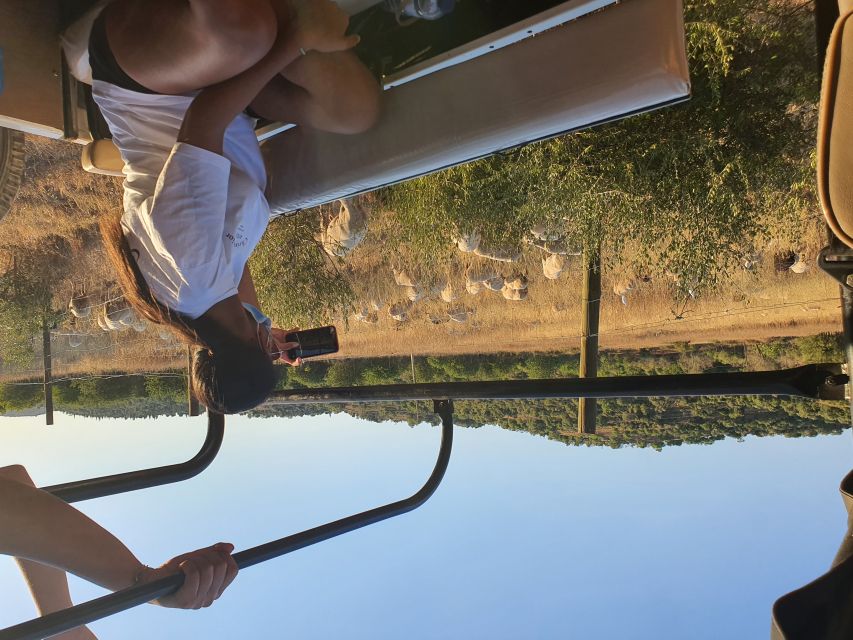 Albufeira: Full Day Safari Excursion in Algarve Mountains - Quinta do Goji and Local Spirits, Tea, and Tasting Energy