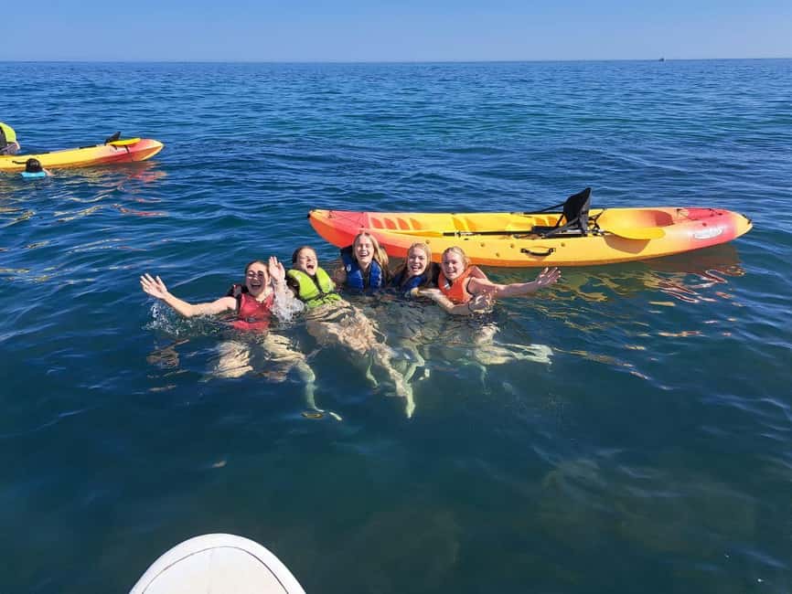 Albufeira: Hidden Beaches & Cliffs Guided Kayak Cave Tour - Praia do Ninho das Andorinhas: Caves and Rock Formations From a Real Waterline