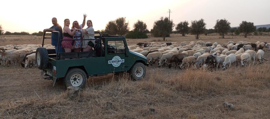 Albufeira: Jeep Safari Half-Day Countryside Tour - Key moments that make this tour worth your time