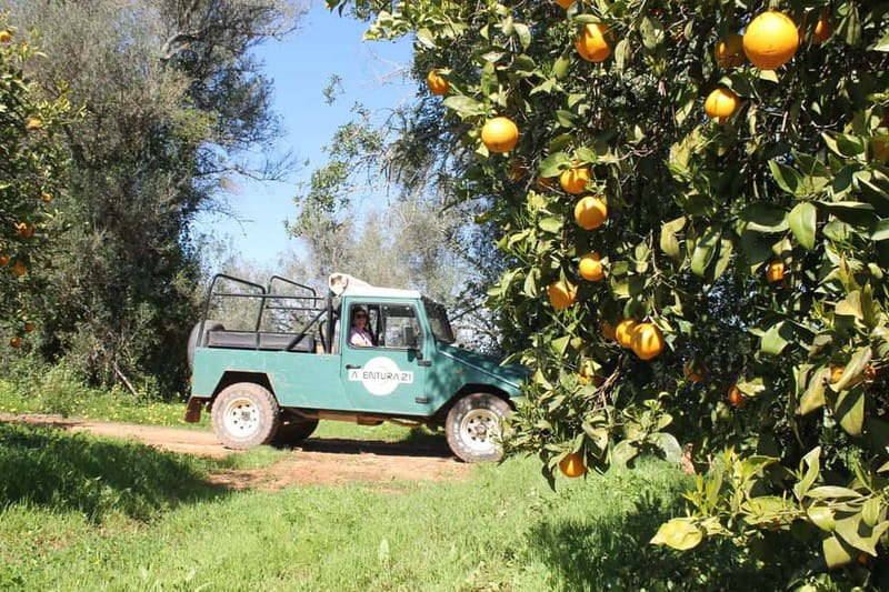 Albufeira Jeep Safari with Zoo - Panoramic viewpoints and hamlets, plus the Castle of Paderne break