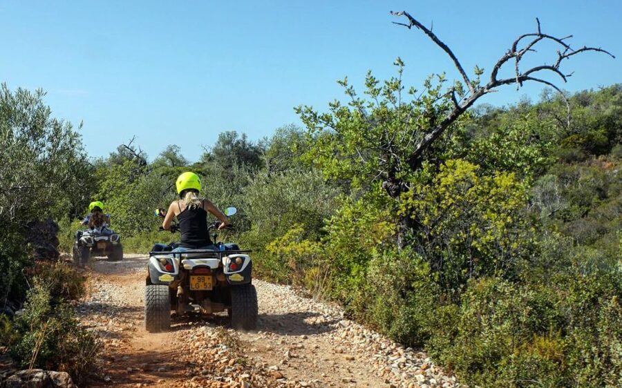 Albufeira: Off-road Quad Bike Adventure - What the guide shares about biodiversity and local culture