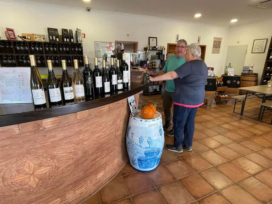 Albufeira, Olhão, Faro: Visit a vineyard, Free time in Silves - Why This Algarve Wine + Silves Day Works So Well