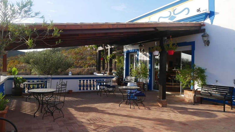 Albufeira, Olhão, Faro: Visit a vineyard, Free time in Silves - The Vineyard Tour: What You Learn Before You Taste