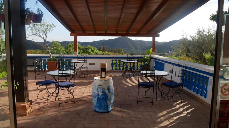 Albufeira, Olhão, Faro: Visit a vineyard, Free time in Silves - Getting There From Olhão, Faro, and Albufeira Without Stress