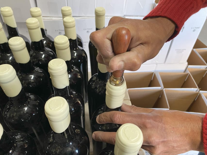 Albufeira/Porches/Vilamoura: Wine Tasting with Tapas & Music - Four wines, four tapas, and live Portuguese music