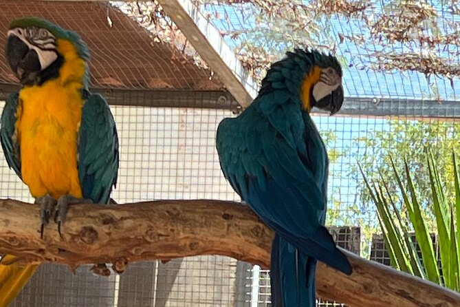 Albufeira Safari w/ Krazy World Visit, Bones & Animals - Krazy World zoo: included entry, pool time, and animals you might not expect