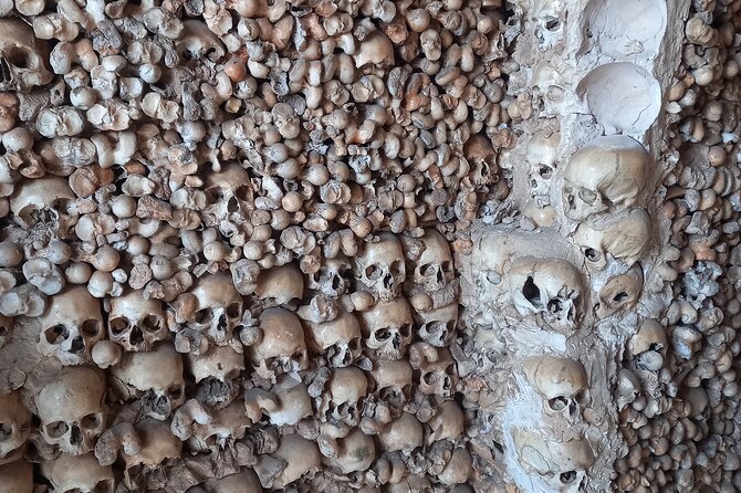 Albufeira Safari w/ Krazy World Visit, Bones & Animals - Private tour pacing with a guide you can actually ask questions