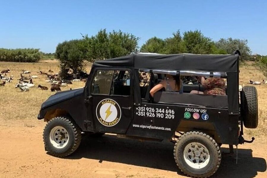 Albufeira Safari with entrance in Krazy World & Bone Chapel - Should You Book the Albufeira Safari With Krazy World and Alcantarilha Bone Chapel?