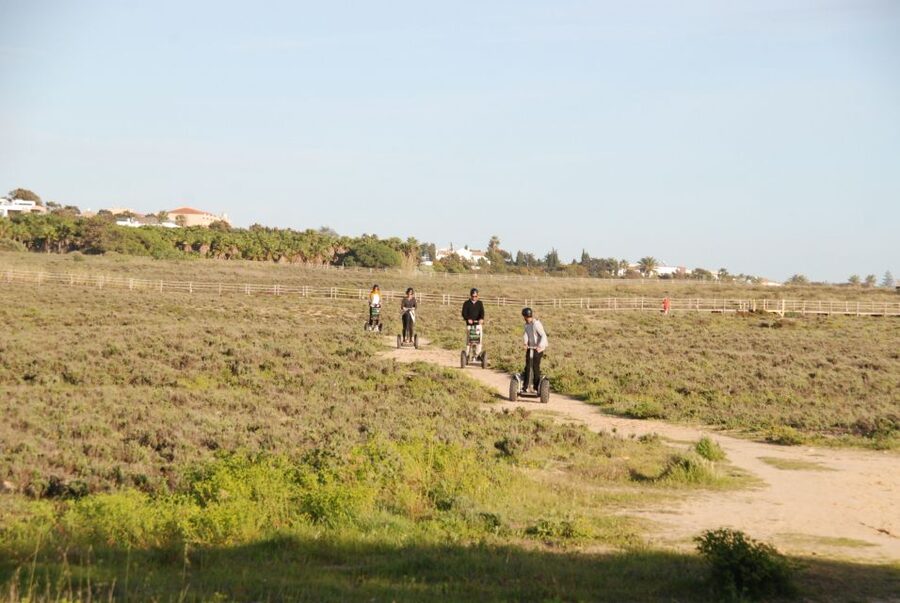Albufeira: Salgados Nature Reserve Segway Tour - Wildlife spotting in Salgados: birds first, patience second