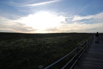 Salgados Nature Reserve Segway Tour