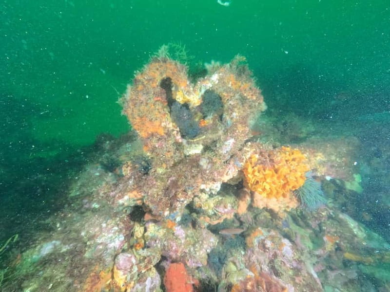 Albufeira: Scuba Diving Experience for Beginners - The boat trip and the feeling of heading out