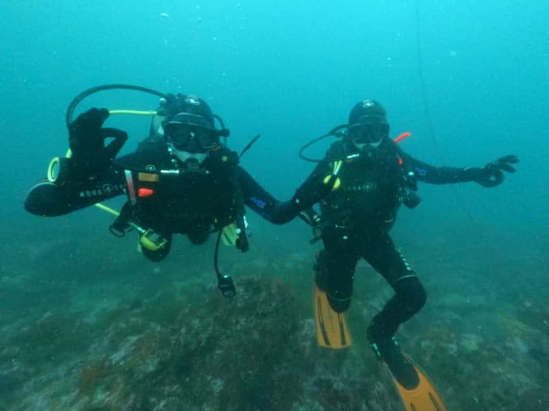 Albufeira: Scuba Diving Experience for Beginners - Price and value: does $162 make sense?