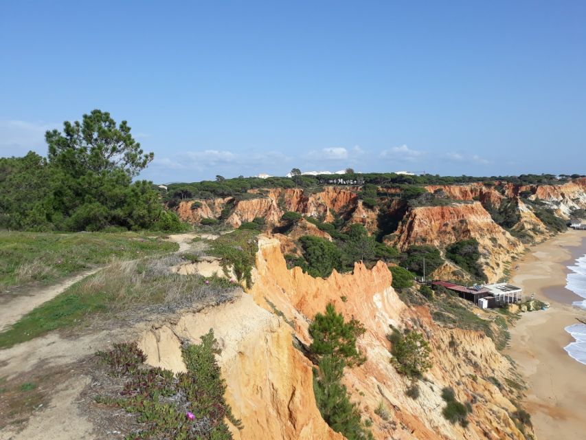 Albufeira: Tuk-tuk Sightseeing Tour - Guides, photo stops, and the small touches that drive the 4.8 rating