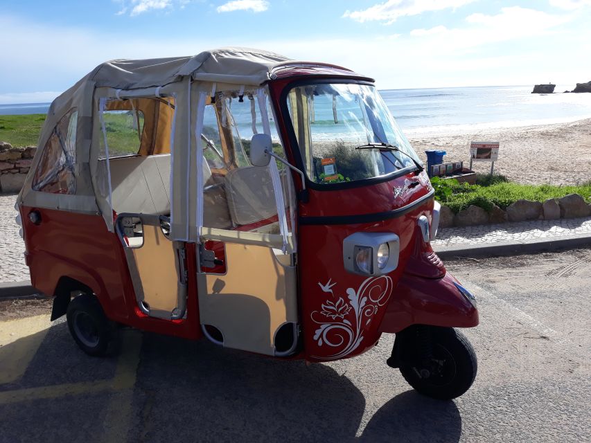 Albufeira: Tuk-tuk Sightseeing Tour - Marina of Albufeira and the fishing port: the working coastline feel