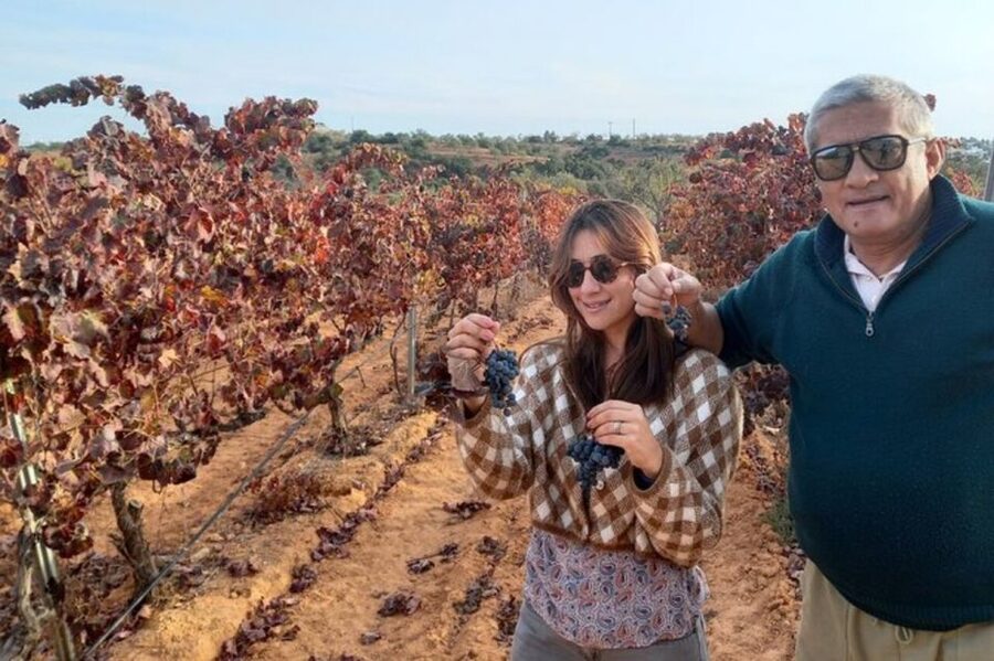 Albufeira/Vilamoura: Winery Tour with Wine Tasting and Tapas - The drive through Albufeira: history, viewpoints, and quick local color