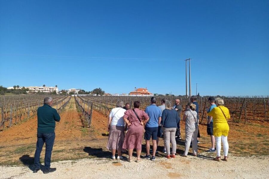 Albufeira/Vilamoura: Winery Tour with Wine Tasting and Tapas - Should you book this Albufeira winery tour with wine tasting and tapas?