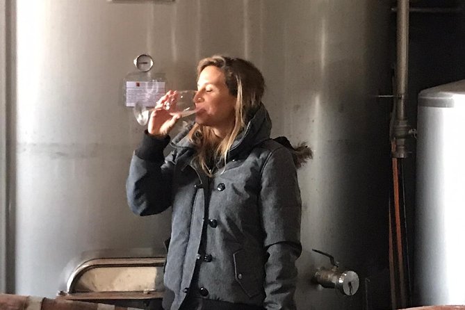 Albufeira Wine Tasting: Boutique Winery Tour & Historic Silves - Silves free time: castle views, cobblestones, and a river reset