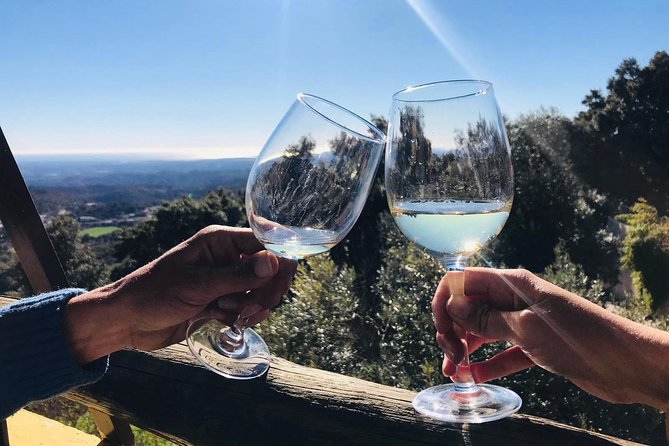 Albufeira Wine Tour: 2 Vineyards, 6 Tastings & Historic Silves - Guides and the small-group advantage in the Algarve
