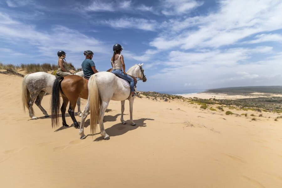 Algarve: 1-Hour Carrapateira Horseback Riding Tour - Where Carrapateira feels wilder than the rest of the Algarve