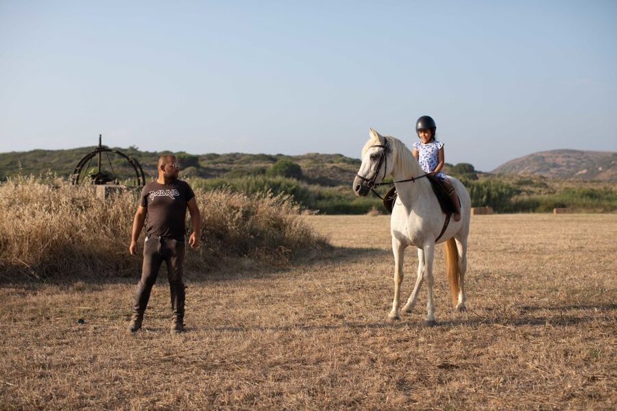 Algarve: 1-Hour Carrapateira Horseback Riding Tour - Horses, pacing, and why beginners usually feel comfortable