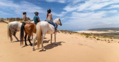1-Hour Carrapateira Horseback Riding Tour