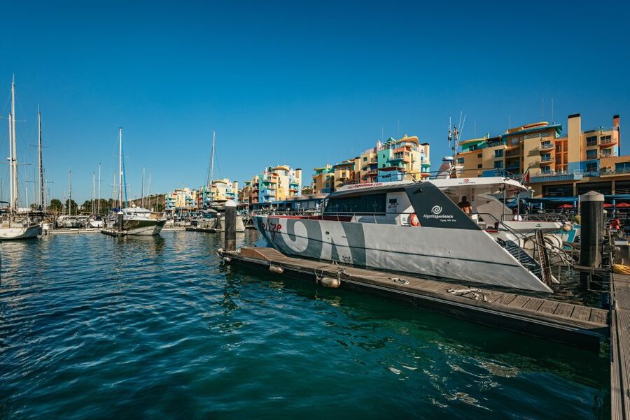 Algarve 3-Hour Caves and Coastline Boat Trip - Dolphins Are A Bonus, Not The Goal, And That Is Okay