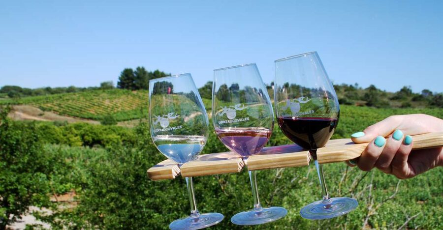 Algarve: 3 Types of Wine Tastings with Vineyard Views - Key Highlights You Will Actually Care About