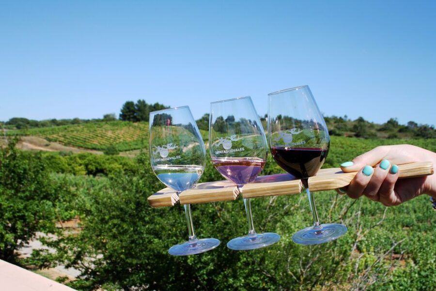 Algarve: 3 Types of Wine Tastings with Vineyard Views - Exploring the Sculpture Gardens After You Taste