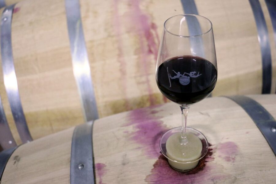 Algarve: 3 Types of Wine Tastings with Vineyard Views - Who This Winery Tasting Suits Best