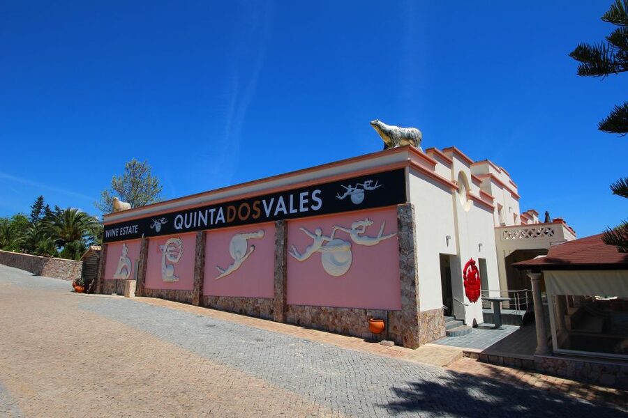 Algarve: 3 Types of Wine Tastings with Vineyard Views - Quick Practical Advice Before You Go