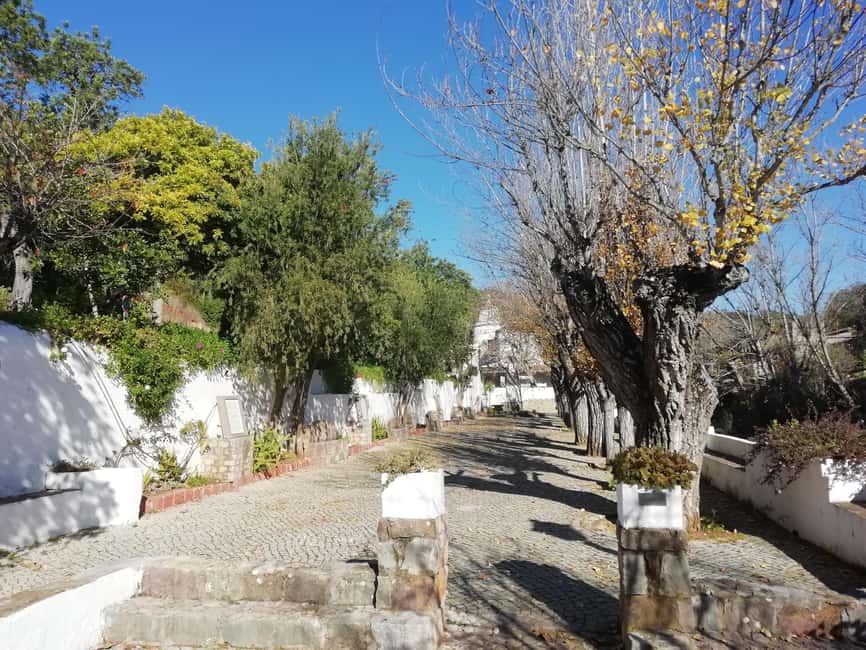 Algarve: 6 Hour Jeep Tour with Lunch - Price and value: what $93 gets you in practice