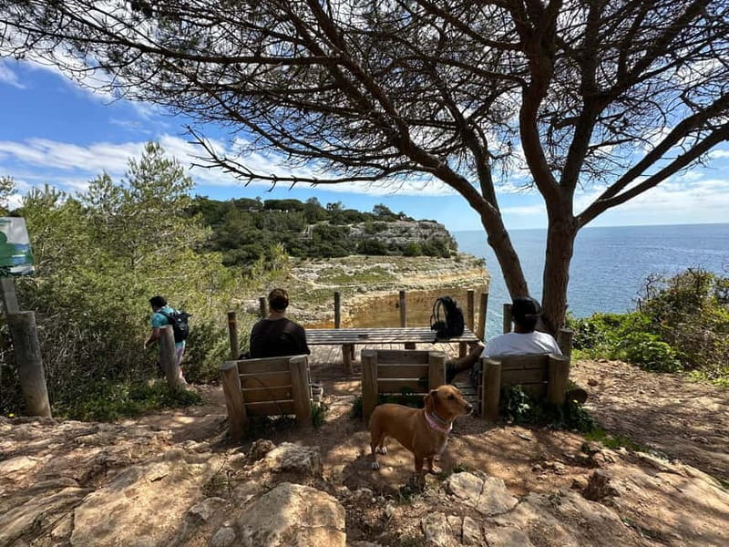 Algarve: 7 Seven Hanging Valley Hike Tour- Photos & Transfer - Key highlights and what matters