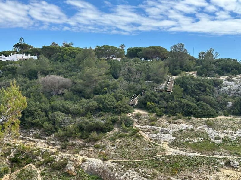 Algarve: 7 Seven Hanging Valley Hike Tour- Photos & Transfer - Benagil Cave from above: what you’ll actually see