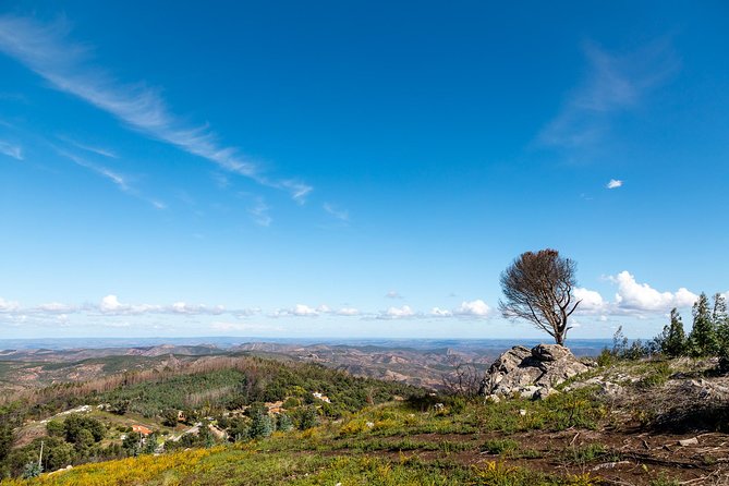 Algarve a la Carte - Portimão timing, pickup, and what the van time means