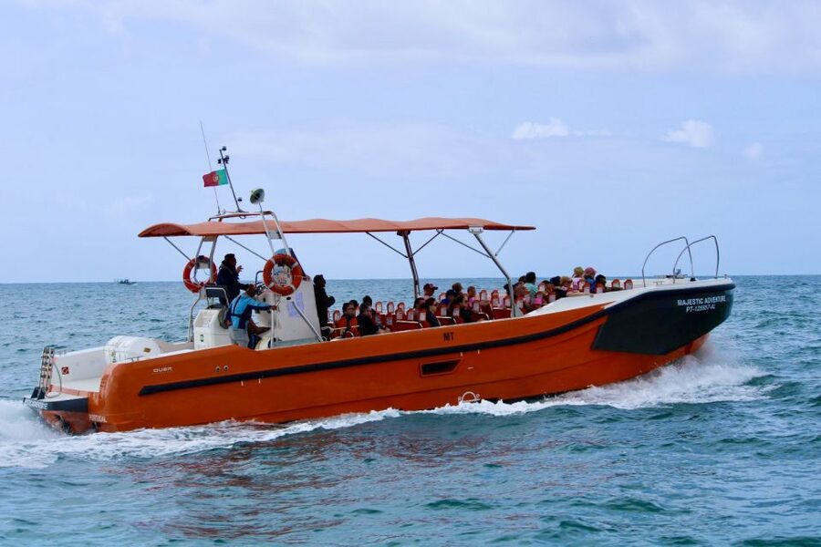Algarve: Benagil Caves Open Speedboat Tour - The 2.5-Hour Flow: Cruise, Dolphin Watch, Then Back to Vilamoura