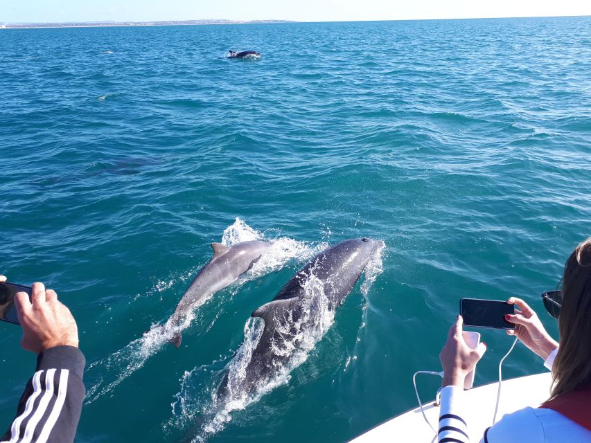 Algarve: Boat Trip to the Caves of Benagil - Getting started at Clube Naval de Portimão (and why the timing feels good)