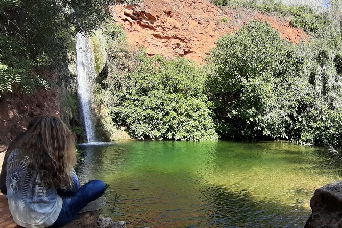 Algarve Charms - 7 Hours Private - Distillery Tastings, Eucalyptus Oil, and No Pressure to Buy