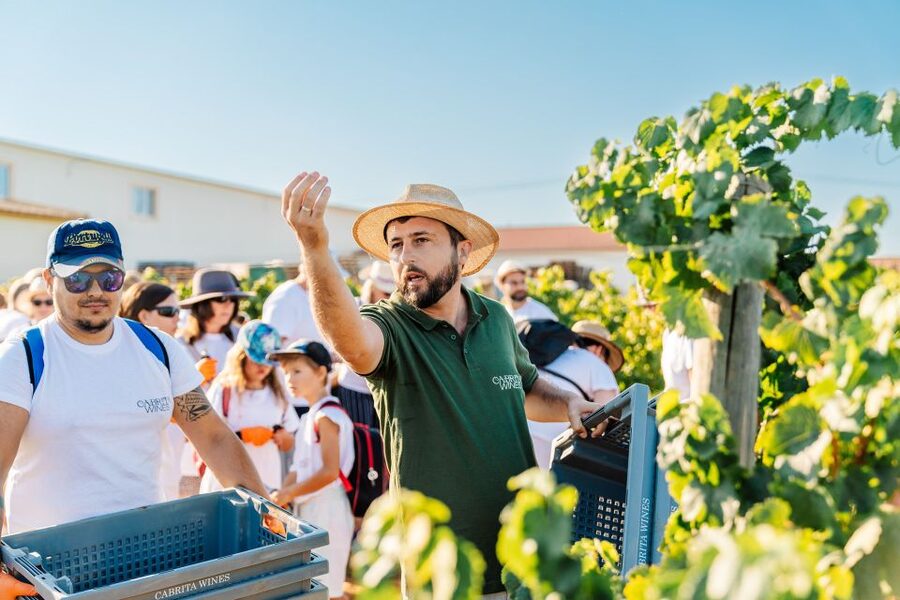 Algarve: Classic Wine Tour & Tasting in Silves - Price and value: what $35 really buys you