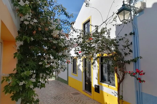Algarve Coast Full-Day Private Tour - Lagos by Boat and on Foot: Caves, Market Views, and Old Town Stories