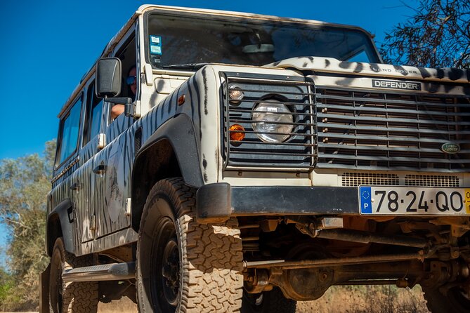 Algarve Coastline & Beaches - Private Tour - Pickup and Timing: How to Make the Morning Easy