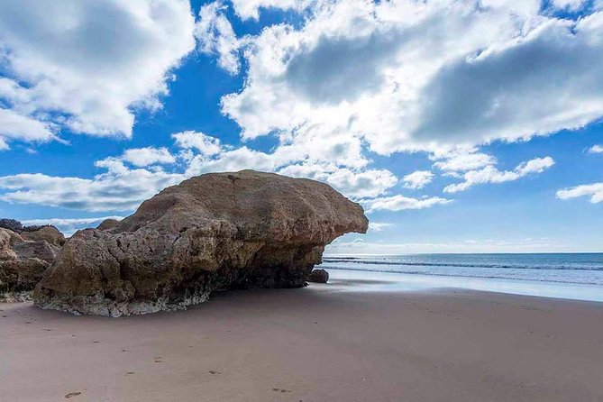 Algarve Coastline & Beaches - Private Tour - Value and the $810.16 Price for Up to 8