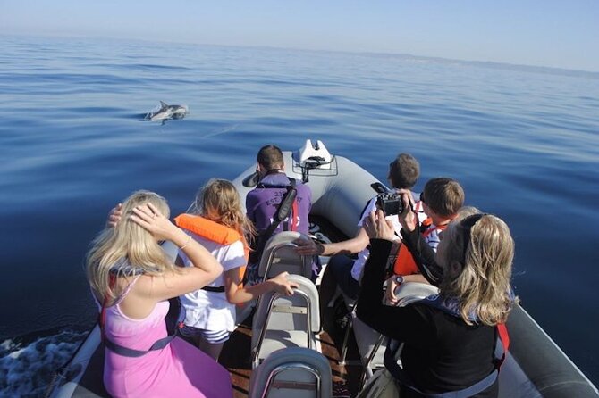 Algarve Dolphin Watching & Marine Life Eco Tour - The Lighthouse, Algarvian Houses, and Why the Scenery Isn’t Just Background