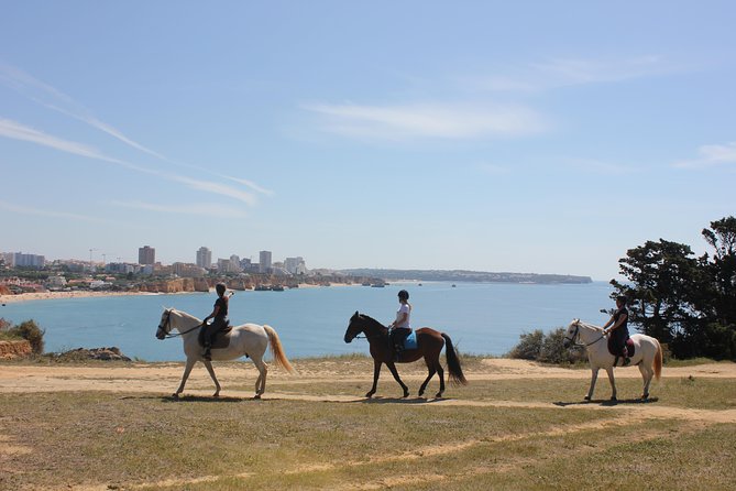 Algarve - Exclusive horseriding in Portimao (no experience required) - Key things that make this Portimão horse ride work