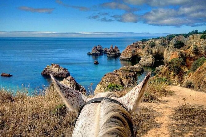 Algarve - Exclusive horseriding in Portimao (no experience required) - Meet Your Horse First, Then Follow a Calm Plan