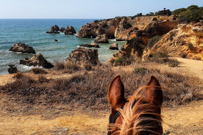 Algarve - Exclusive horseriding in Portimao (no experience required) - Pace, photo stops, and what you should realistically expect
