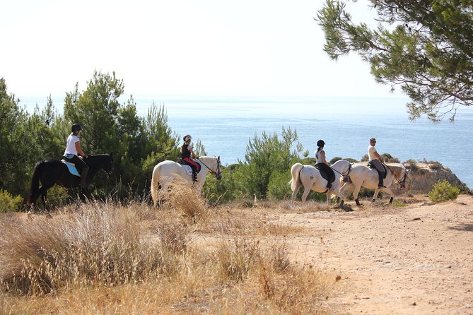 Algarve - Exclusive horseriding in Portimao (no experience required) - Price and value: is $60.49 really fair?