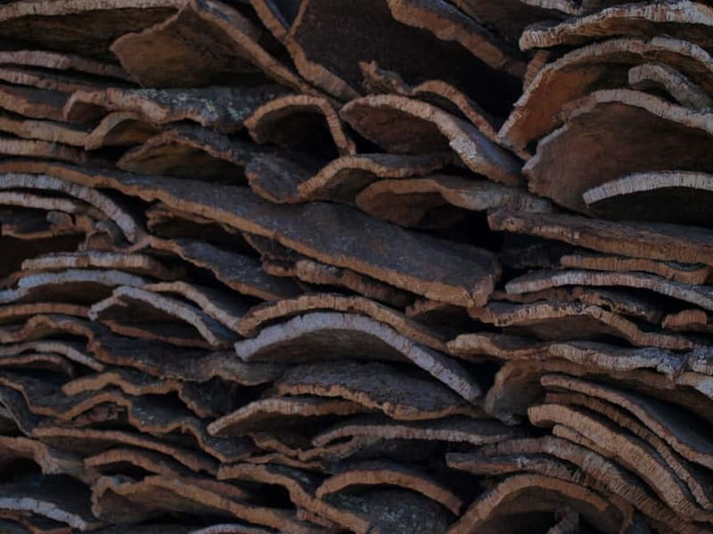Algarve: Flavors and Traditions Tour - Museum time in São Brás: ethnographic traditions and costume culture