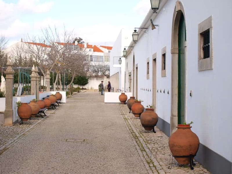 Algarve: Flavors and Traditions Tour - Salir and the castle remnants: quiet walls and village views